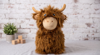 Hamish the Highland Cow